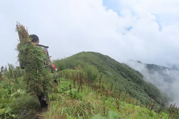Porter on Mount Mugaphi
