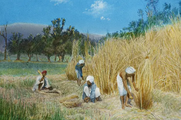 Gopalganj- Cutting grass and making rope, India, ca. 1915 (IMP-CSCNWW33-OS14-61)