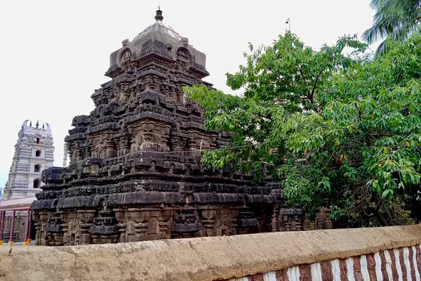 9th century Golingeswara temple, Biccavolu Andhra Pradesh - 28