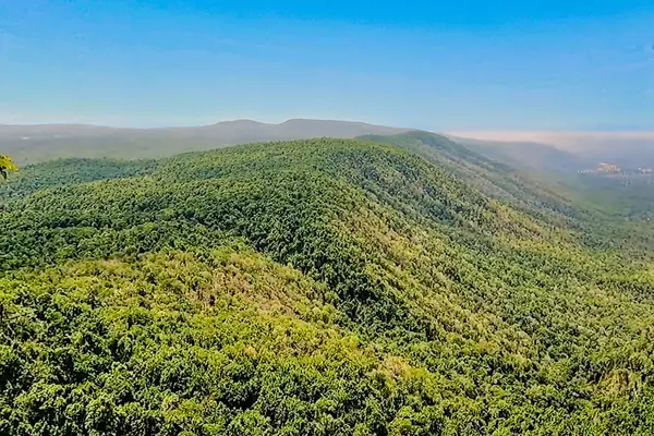 Forests below Chaiturgarh Fort Chhattisgarh 012