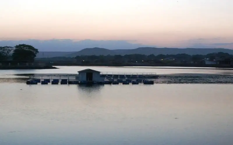 Victoriya lake