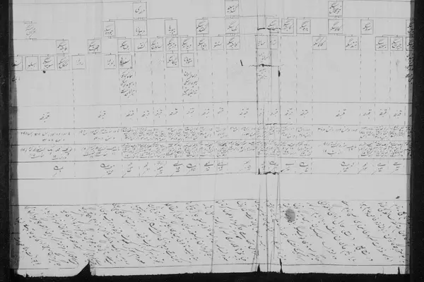 Example of a genealogical pedigree (family-tree) of a landowning family of Chugawan villag