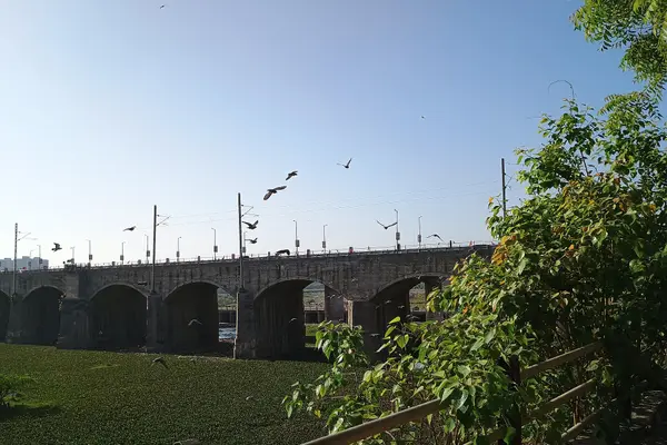 Shankar Aashram Nilkanth Mahadev Temple, Morbi, Gujarat, India4