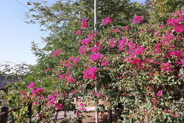 Shankar Aashram Nilkanth Mahadev Temple, Morbi, Gujarat, India24