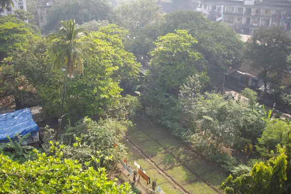 Last farmland within Mumbai city in 'Prabhadevi area'