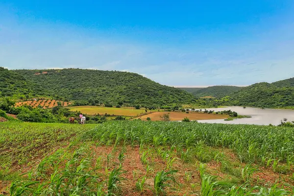 Somasila, Nagarkurnool district, Telangana