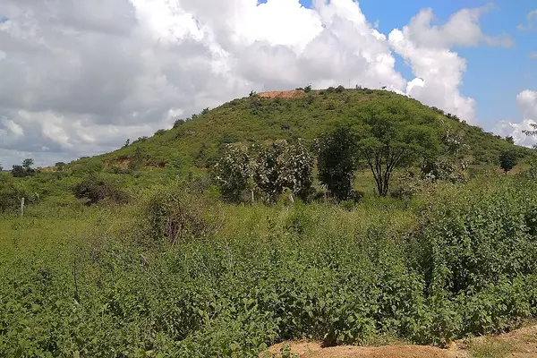 Ramalayam mound in Appakpally