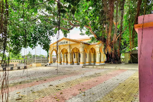 Saptamatrika temple, Boricha Gujarat 011