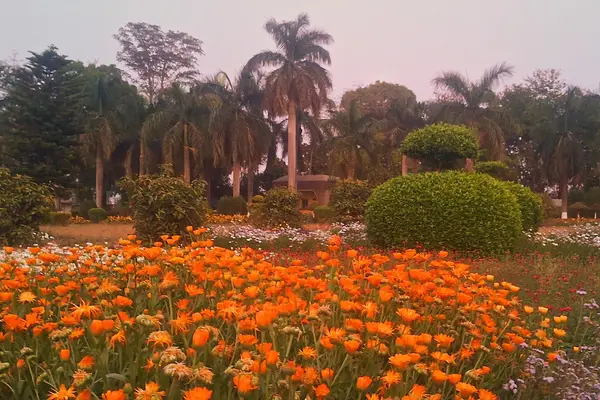 ICAR-National Institute of Secondary Agriculture, Ranchi , Jharkhand