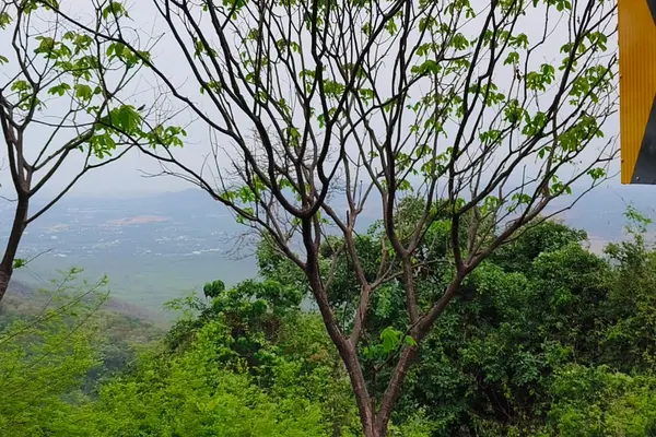 Lush greens of Yercaud