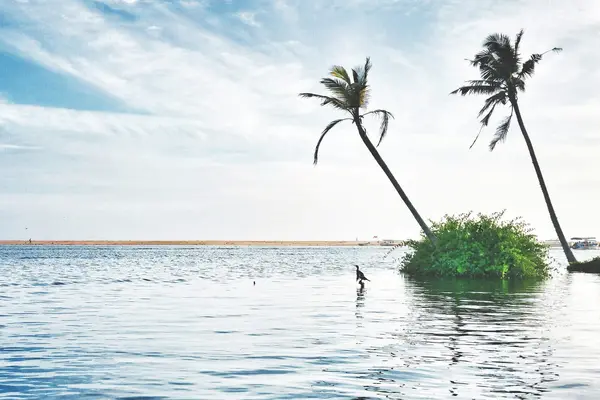 Poovar Kerala