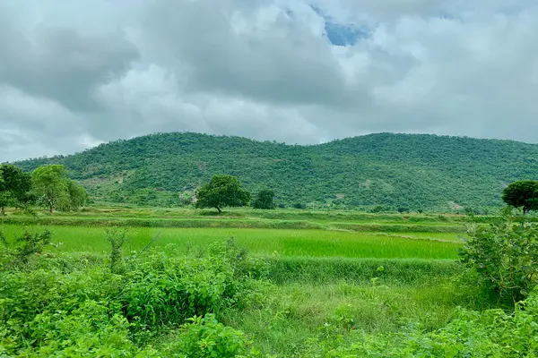 Palampet village and nearby farmlands, Telangana India - 3